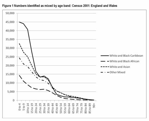 Figure 1 Numbers identified as mixed by age band: Census 2001: England and Wales